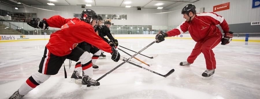 Merging Passion and Instinct on the Ice