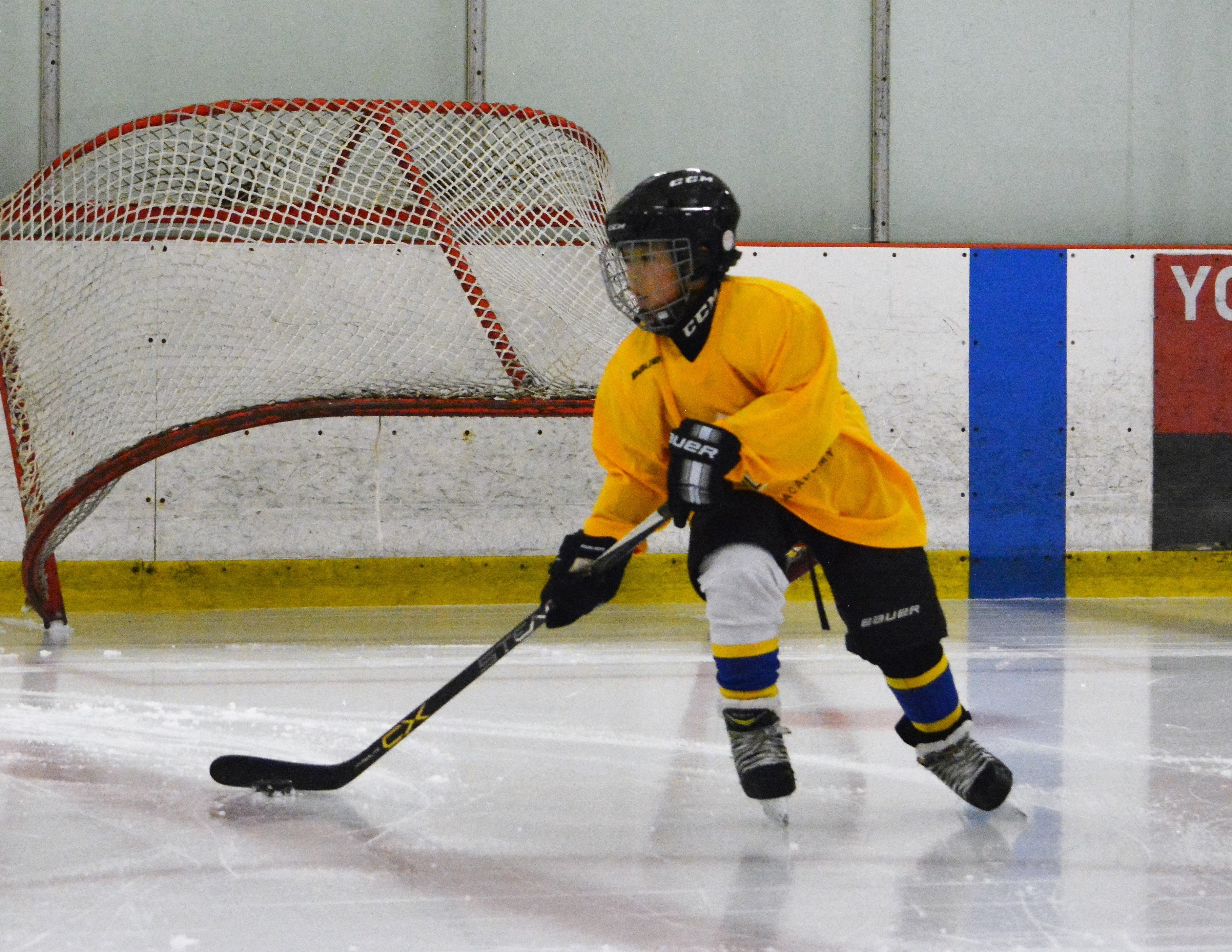 Positive Ways to Help Young Hockey Players from Home - National Hockey Training Center